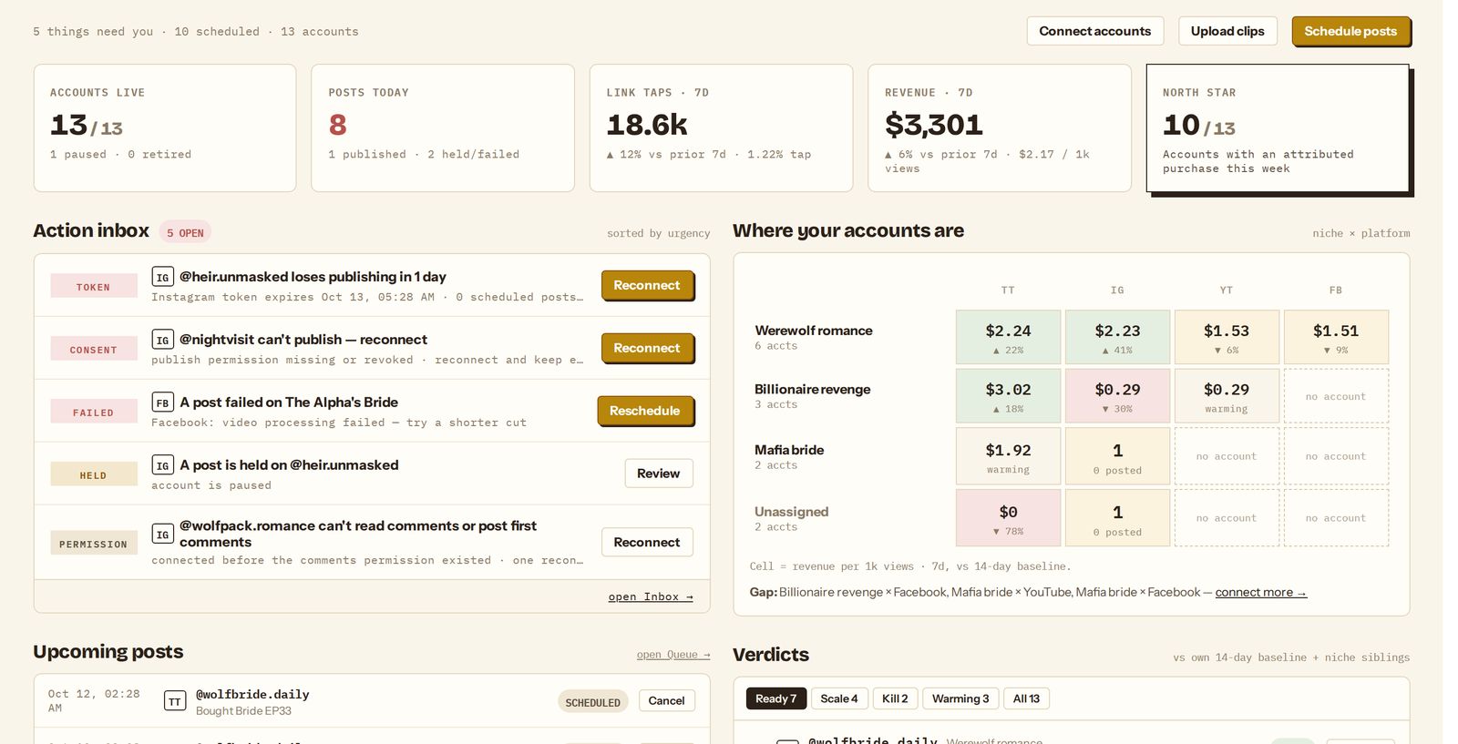 The Publishing overview: accounts live, posts today, link taps and revenue for the last seven days, an action inbox, and a grid of revenue per thousand views by niche and platform.